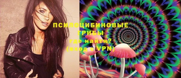 таблы Дмитриев