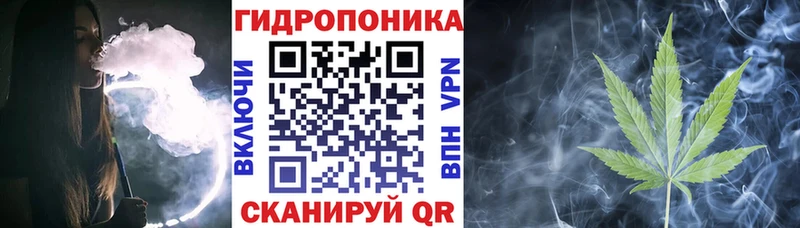 Купить закладки  Курлово  Бошки марихуана Amnesia 